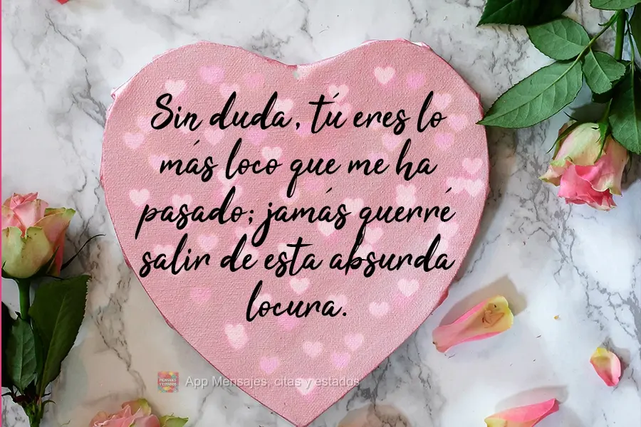 Com certeza você foi a coisa mais louca que me aconteceu, e eu jamais vou querer sair dessa insana loucura.