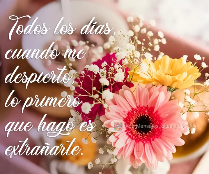 Todos os dias quando acordo, a primeira coisa que faço é sentir sua falta.