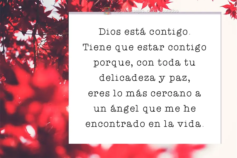 Deus está com você. Tem que estar, porque com toda a sua delicadeza e paz, você é a coisa mais próxima de um anjo que já encontrei na vida.