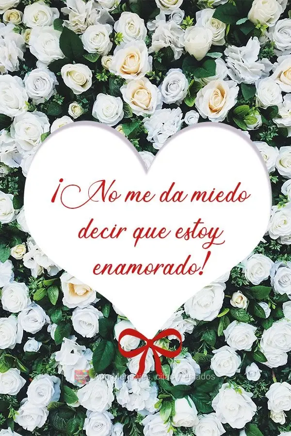 ¡No me da miedo decir que estoy enamorado!