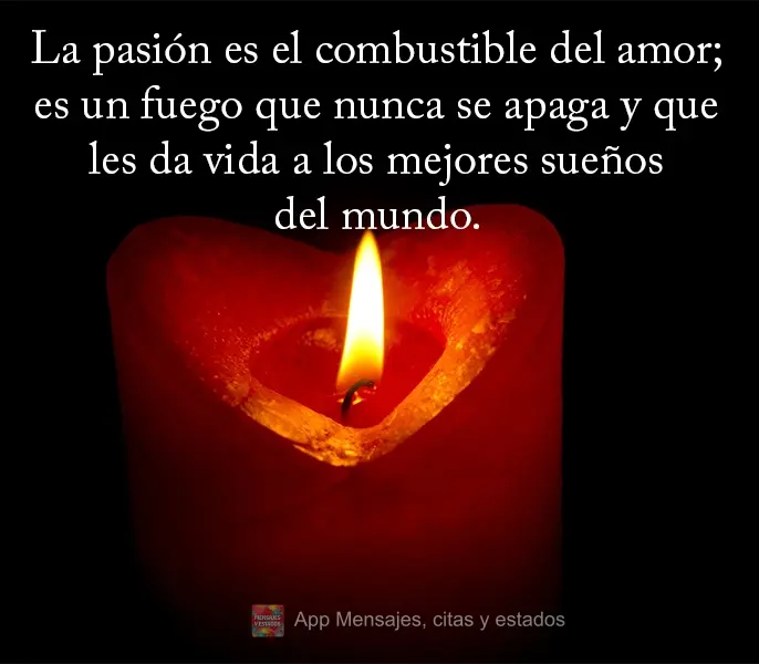 La pasión es el combustible del amor; es un fuego que nunca se apaga y que les da vida a los mejores sueños del mundo.