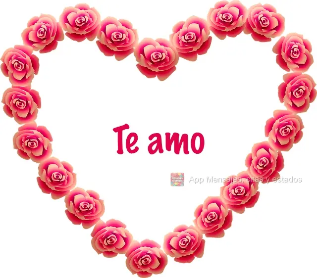 Te amo
