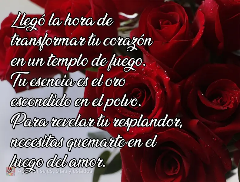 Llegó la hora de transformar tu corazón en un templo de fuego. Tu esencia es el oro escondido en el polvo. Para revelar tu resplandor, necesitas quemar...
