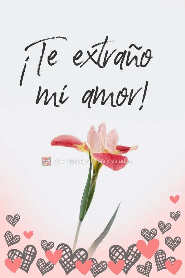 ¡Te extraño mi amor!