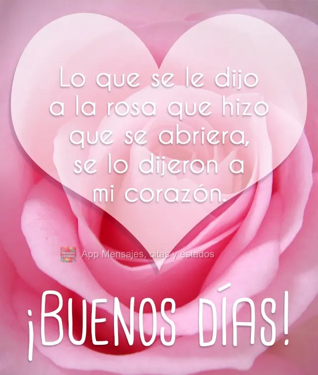 O que foi dito à rosa que a fez abrir-se, foi dito a mim aqui no meu peito.  Bom dia!