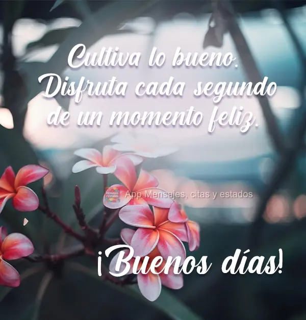 Cultive o que é bom. Aprecie cada segundo de um momento feliz.  Bom Dia!