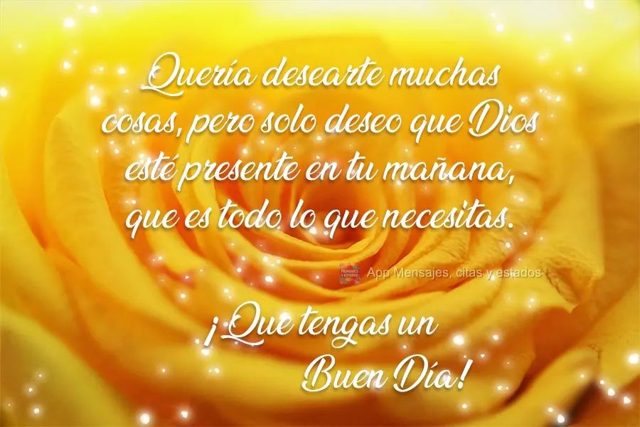 Eu queria lhe desejar muitas coisas, mas desejo só a presença de Deus em sua manhã, que já é tudo que você precisa. Tenha um Bom Dia!