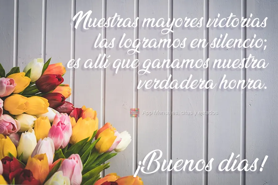 Nossas maiores vitórias vencemos em silêncio, é nelas que ganhamos nossa verdadeira honra.  Bom Dia!