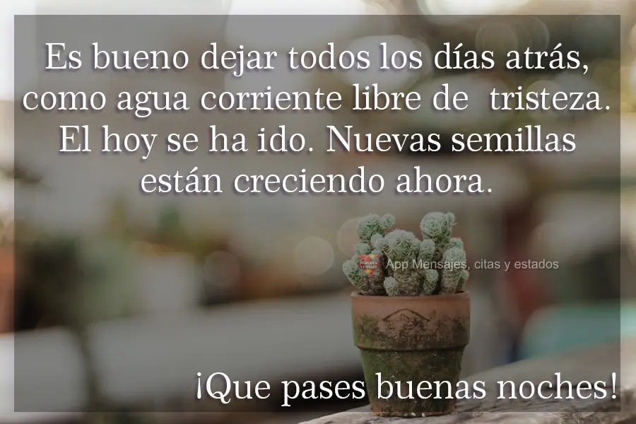 É bom deixar todos os dias para trás, como água corrente livre de tristeza. O hoje se foi. Sementes novas estão crescendo agora. Tenha uma Boa Noite!...