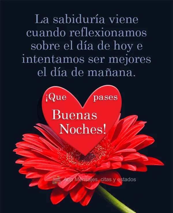 A sabedoria vem no momento em que refletimos sobre o dia de hoje, e tentamos ser melhor no dia de amanhã.  Tenha uma Boa Noite!