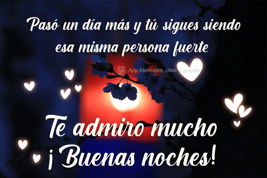 Mais um dia que passou e você continua sendo essa pessoa forte. Te admiro muito. Boa Noite!