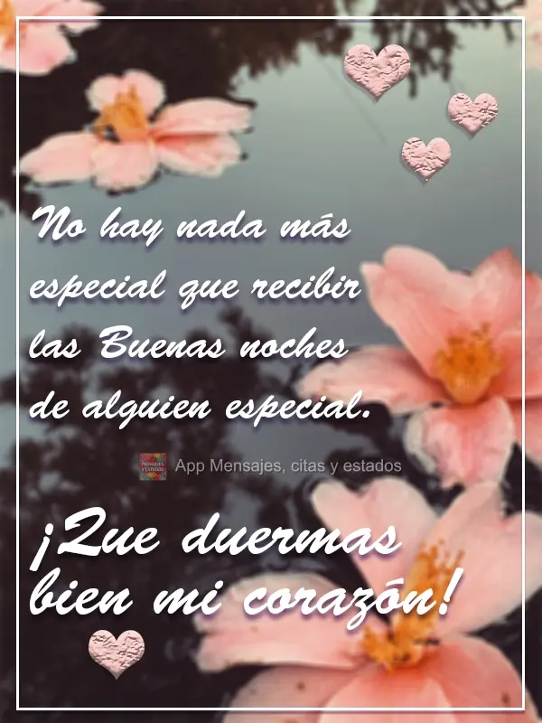 Nada é mais especial do que receber um Boa Noite de pessoas especiais.  Durma Bem Anjo meu!