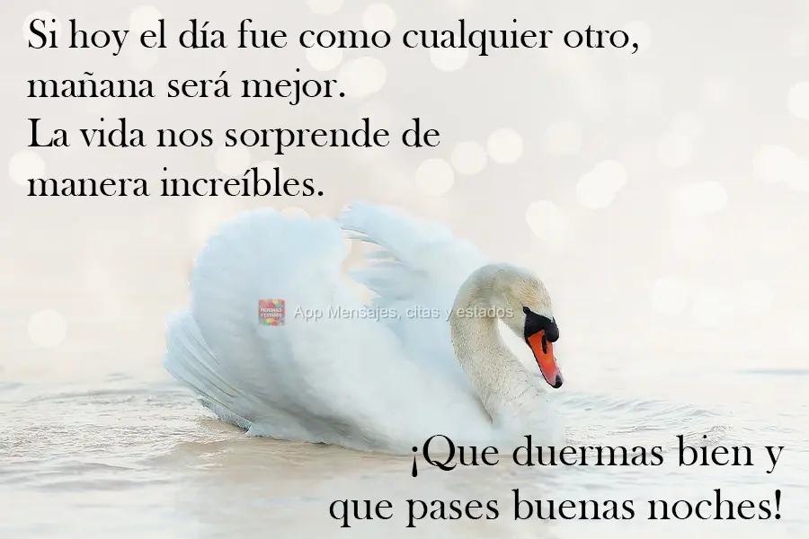 Se hoje o dia foi como qualquer outro, amanhã poderá ser melhor. A vida nos surpreende de maneiras incríveis.  Durma Bem e tenha uma Boa Noite!