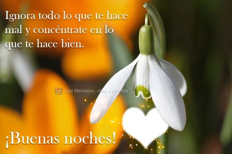 Ignore tudo que te faz mal e mantenha o foco no que te faz bem. Boa Noite!