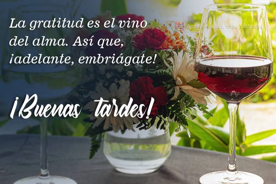 Gratidão é o vinho para a alma. Vá em frente. Embriague-se! Boa Tarde!