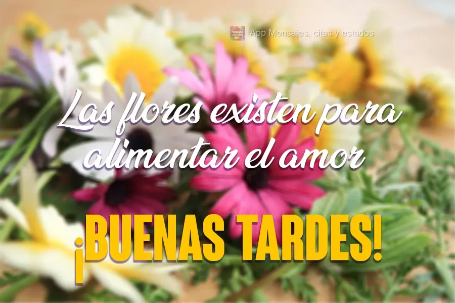 Flores existem para alimentar o amor.  Boa Tarde!