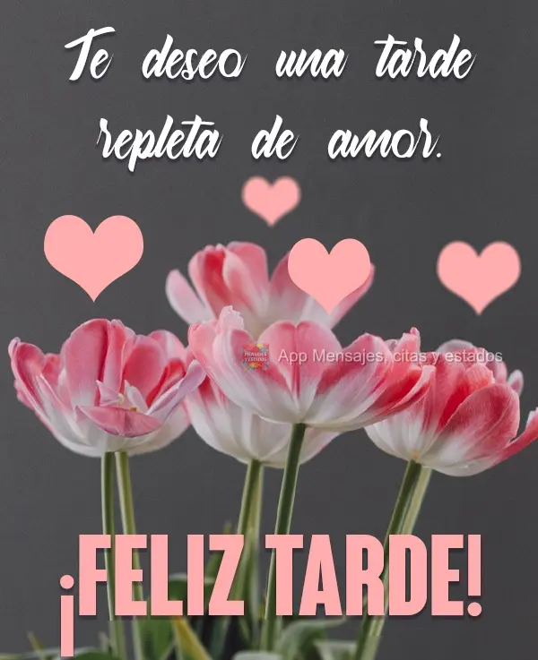 Desejo uma tarde repleta de amor. Boa Tarde!