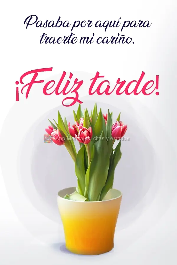 Passando para lhe trazer meu carinho. Boa Tarde!