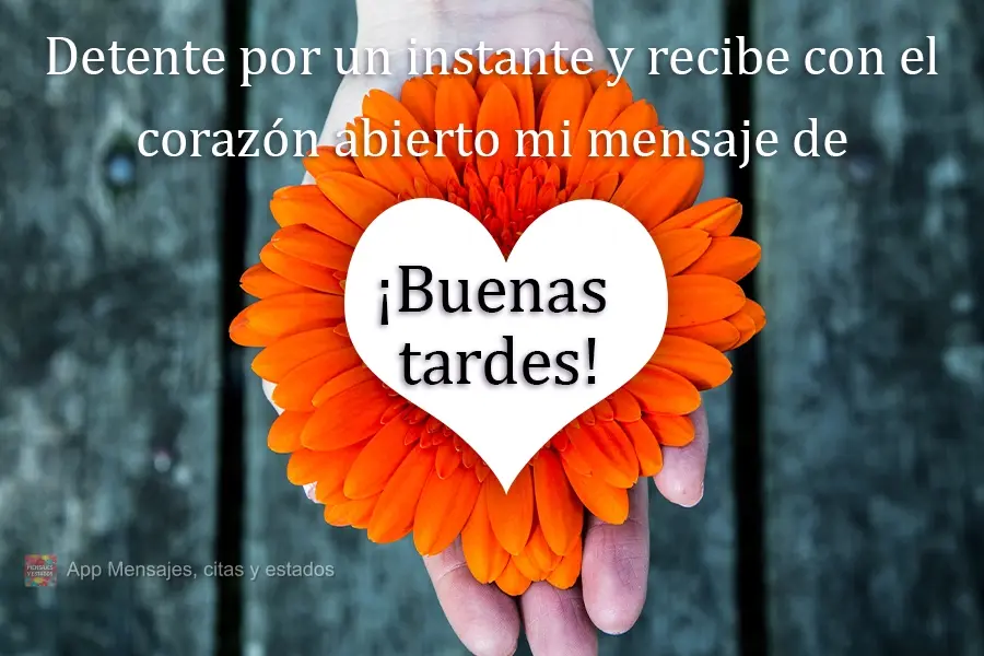 Pare por um instante e receba, de coração aberto, minha mensagem de  Boa Tarde!