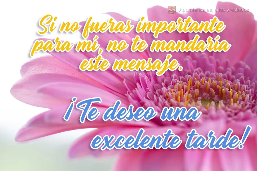 Si no fueras importante para mí, no te mandaría este mensaje. ¡Te deseo una excelente tarde!