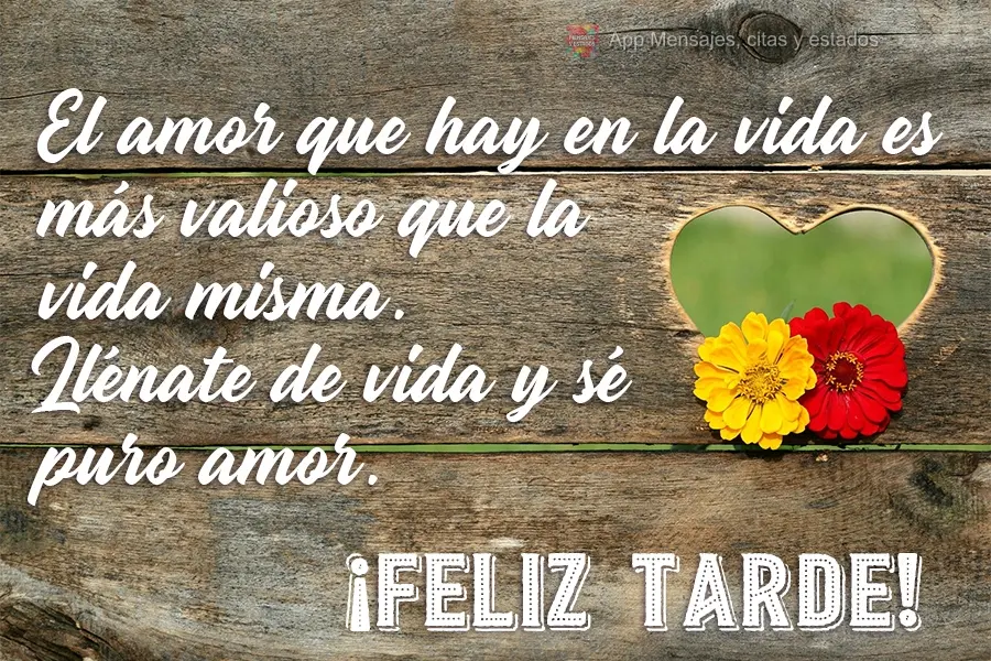 Mais valioso que a vida é o amor que existe nela. Encha-se de vida e seja puro amor.  Boa Tarde!