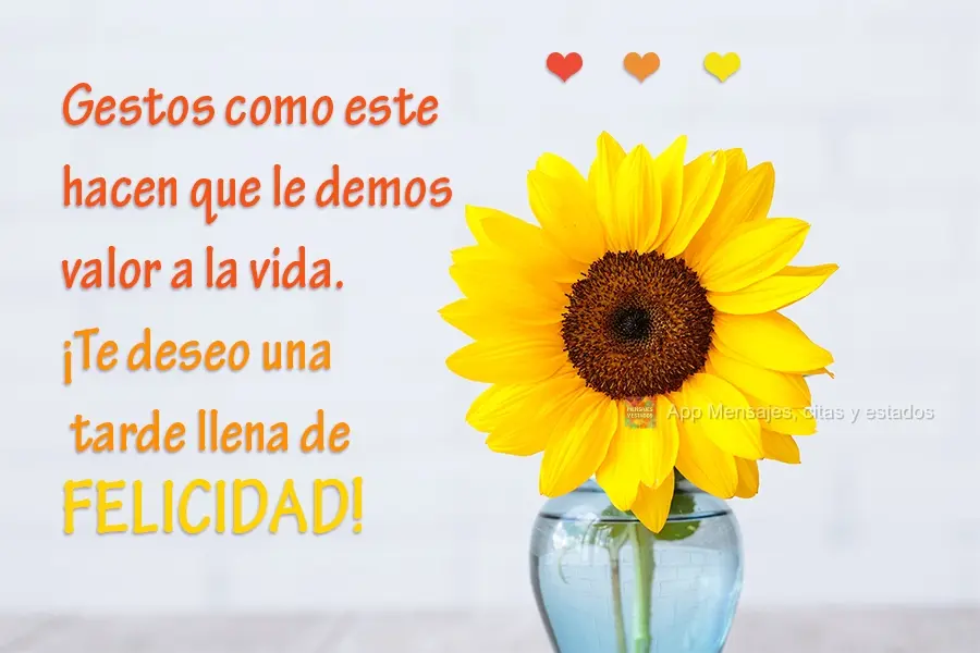 Gestos como esse, fazem  vidas serem valorizadas. Eu te desejo uma Tarde de pura felicidade!