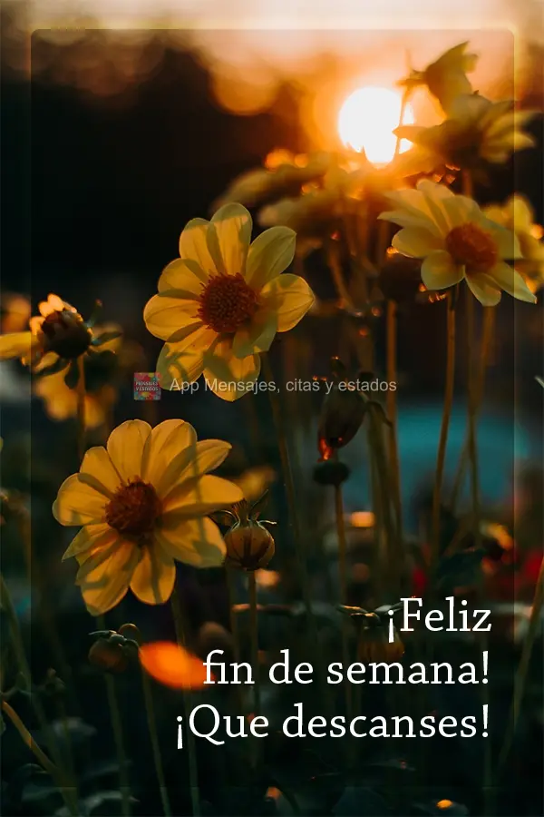 ¡Feliz fin de semana! ¡Que descanses!