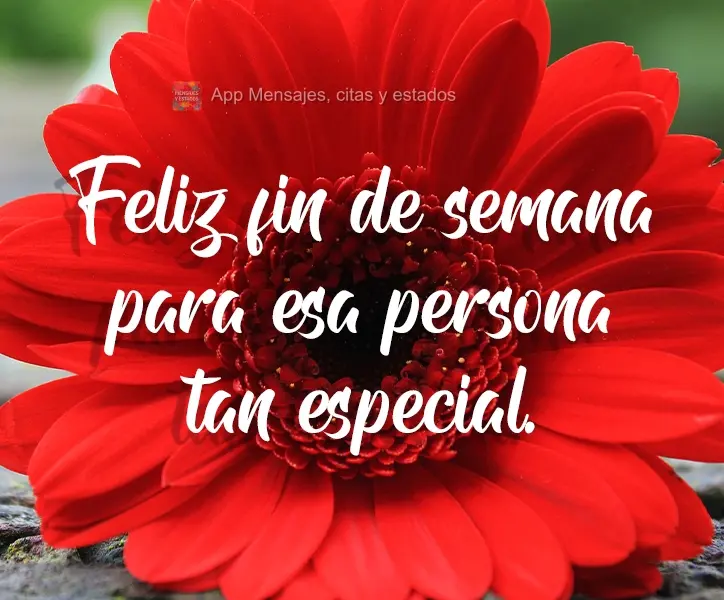 Feliz fin de semana para esa persona tan especial.