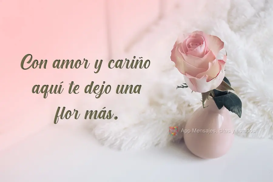 Con amor y cariño, aquí te dejo una flor más.
