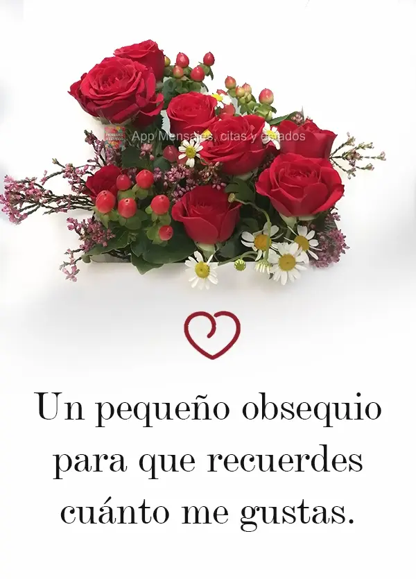 Un pequeño obsequio para que recuerdes cuánto me gustas.