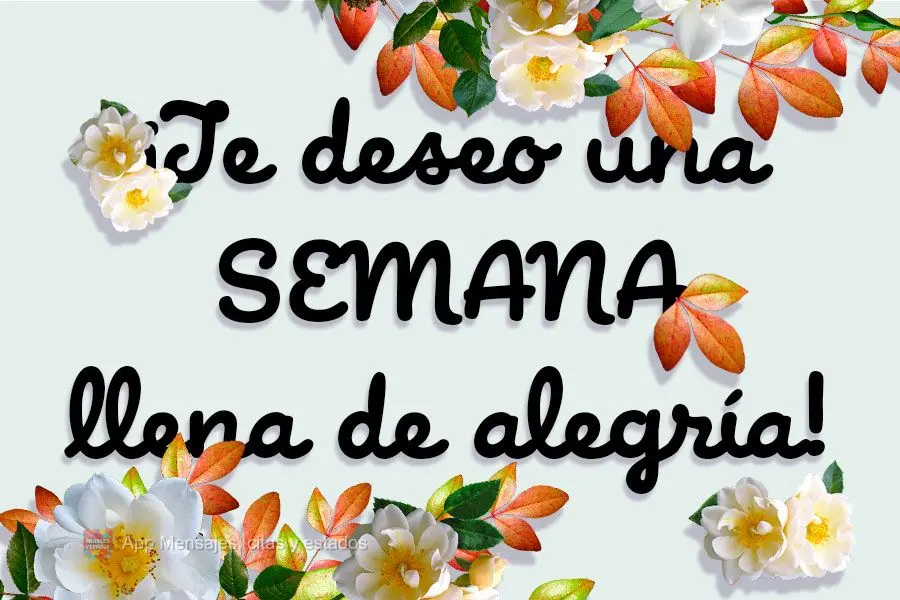 Te desejo uma SEMANA cheia de alegria!