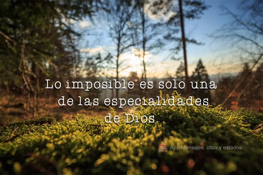 Lo imposible es solo una de las especialidades de Dios.