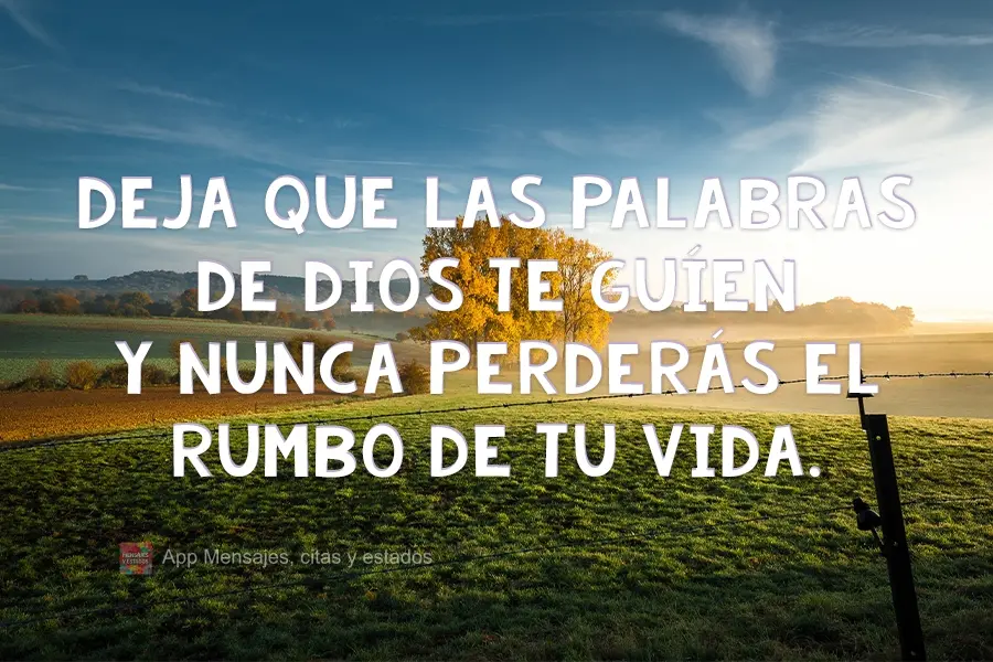 Deja que las palabras de Dios te guíen y nunca perderás el rumbo de tu vida.