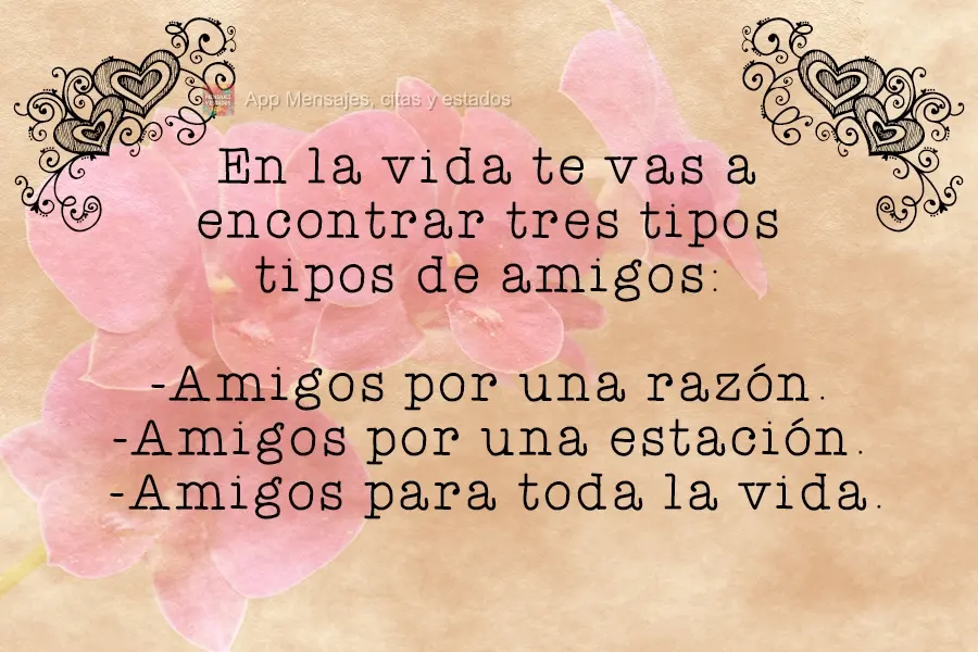 Você encontrará três tipos de amigos na vida: Amigos por uma razão. Amigos por uma estação. Amigos para a vida toda.