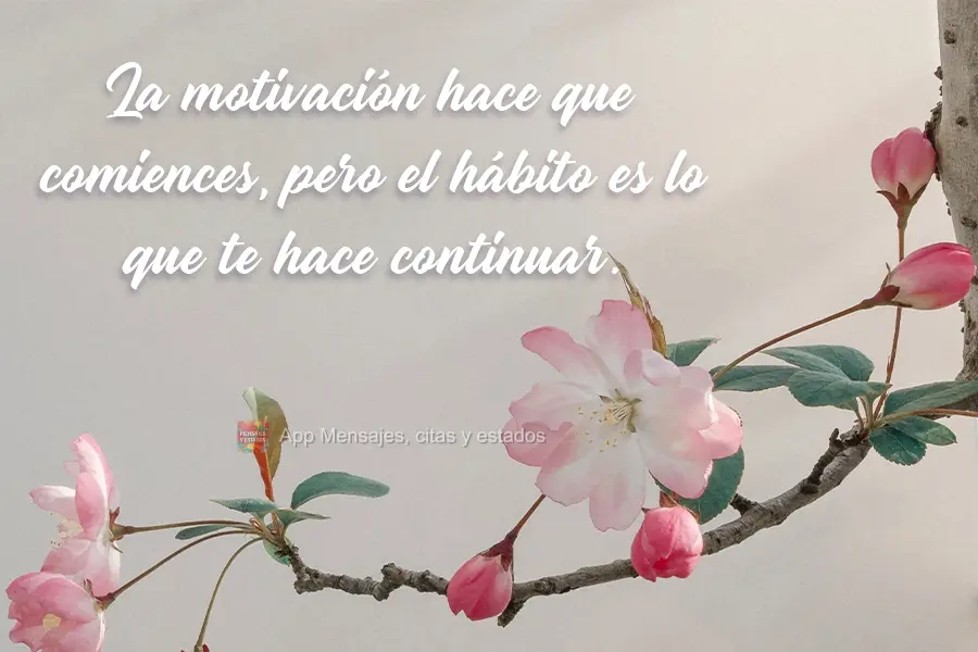 La motivación hace que comiences, pero el hábito es lo que te hace continuar.