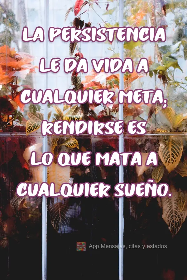 La persistencia le da vida a cualquier meta; rendirse es lo que mata a cualquier sueño. 