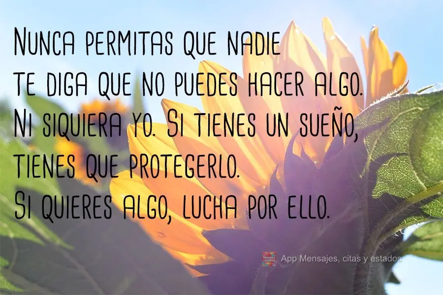 Nunca deixe que alguém te diga que não pode fazer algo. Nem mesmo eu. Se você tem um sonho, tem que protegê-lo. Se quer alguma coisa, vá e lute por ...