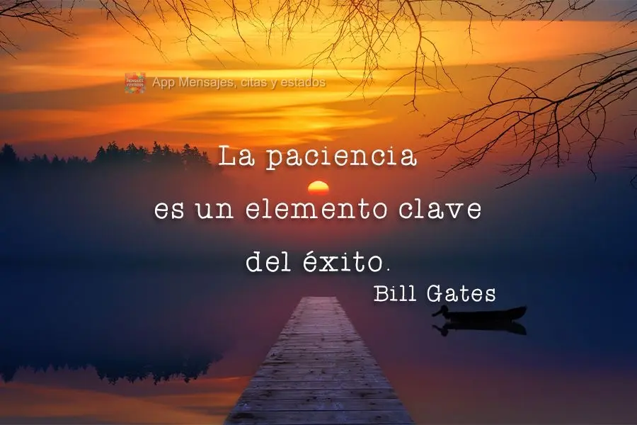 La paciencia es un elemento clave del éxito. Bill Gates