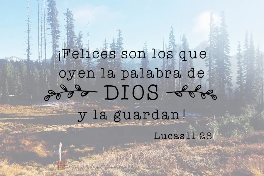 ¡Felices son los que oyen la palabra de Dios y la guardan! Lucas 11:28 