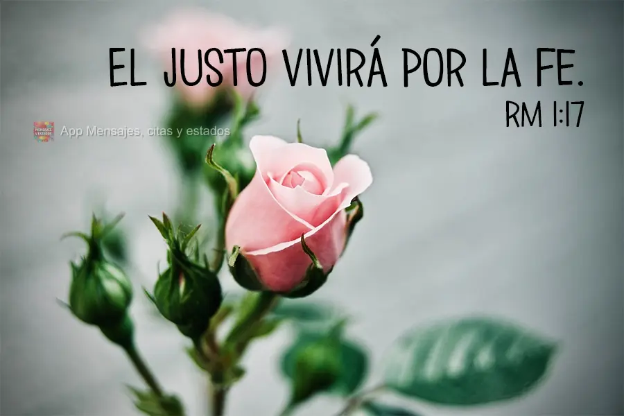 O justo viverá pela fé. Rm 1:17