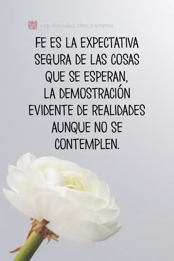 Fe es la expectativa segura de las cosas que se esperan, la demostración evidente de realidades aunque no se contemplen.