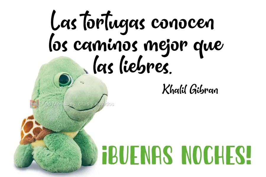 Tartarugas conhecem as estradas melhor do que os coelhos. Khalil Gibran