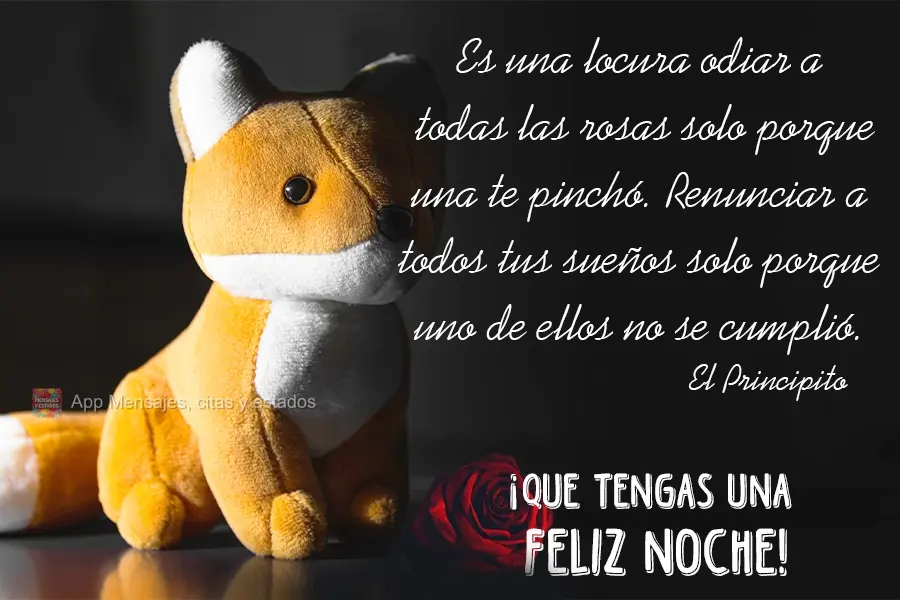 Es una locura odiar a todas las rosas solo porque una te pinchó. Renunciar a todos tus sueños solo porque uno de ellos no se cumplió. El Principito