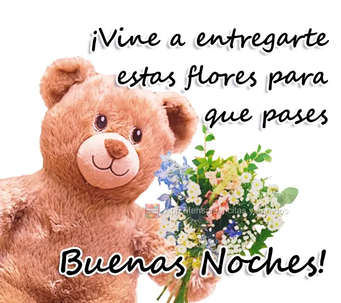 Vim entregar essas flores, para que você tenha uma Boa Noite!