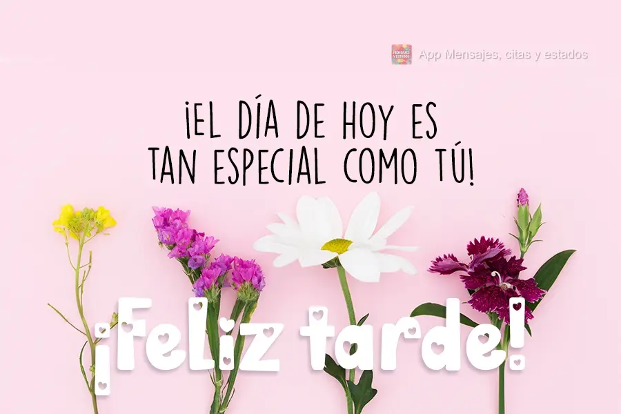 ¡El día de hoy es tan especial como tú! ¡Feliz tarde!