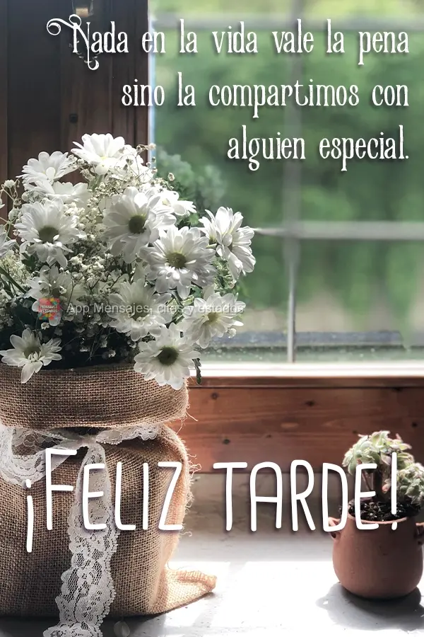 Nada na vida vale a pena se não for dividida com  uma pessoa especial. Boa Tarde!