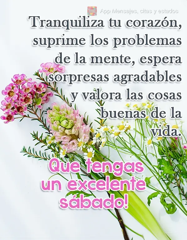 Tranquilize seu coração, exclua os problemas da mente, espere surpresas agradáveis e  valorize as coisas boas da vida.  Tenha um Sábado excelente!