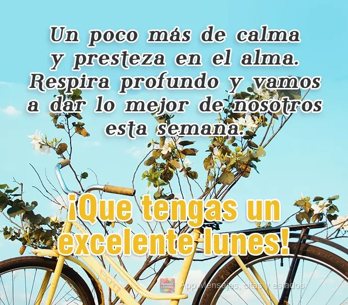 Un poco más de calma y presteza en el alma. Respira profundo y vamos a dar lo mejor de nosotros esta semana. ¡Que tengas un excelente lunes!