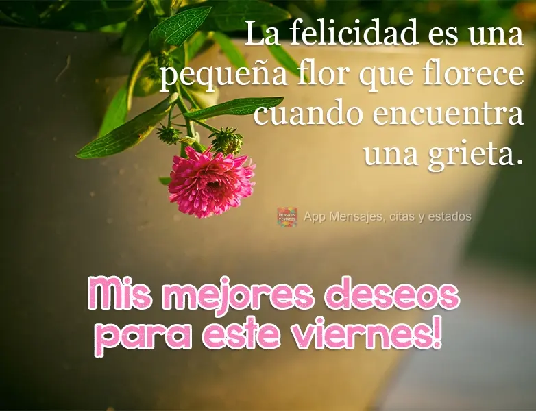 La felicidad es una pequeña flor que florece cuando encuentra una grieta. ¡Mis mejores deseos para este viernes!