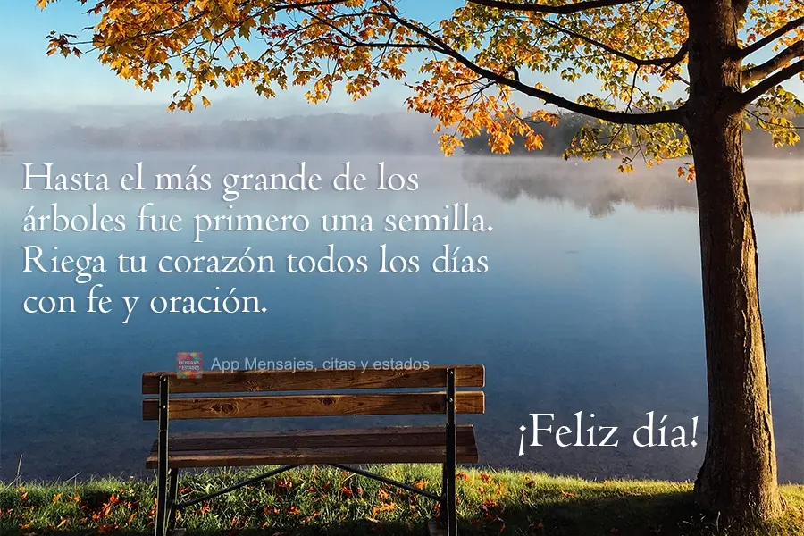 A maior das árvores um dia foi semente. Regue todo dia seu coração com fé e oração.  Bom dia!